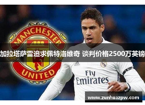 加拉塔萨雷追求佩特洛维奇 谈判价格2500万英镑